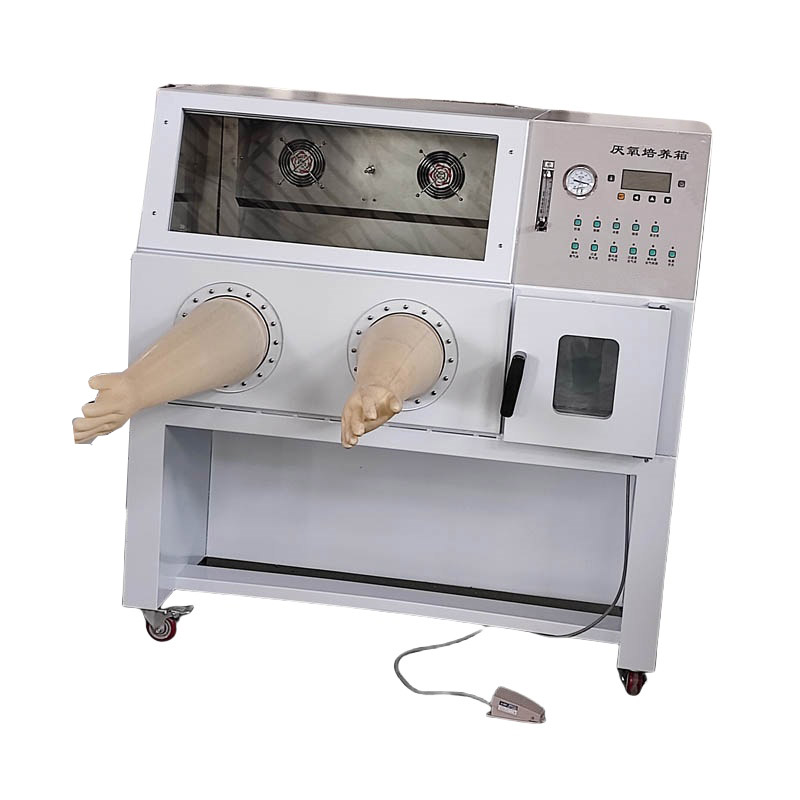 YQX-II智能恒温厌氧培养箱